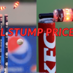 IPL Stump Price